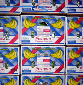 Un empilement de cartons de bananes