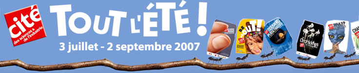 Tout l'été