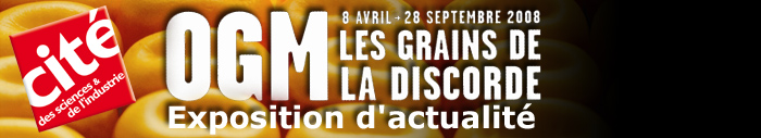 OGM, les grains de la discorde