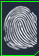 Tour du monde biometrique