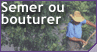 video semer - bouturage