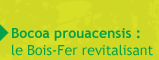Bocoa prouacensis - le bois de fer revitalisant
