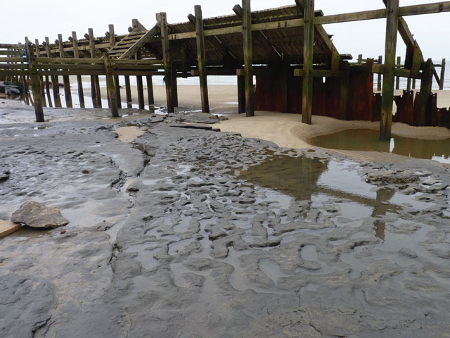 Des traces de pas de 780 000 ans