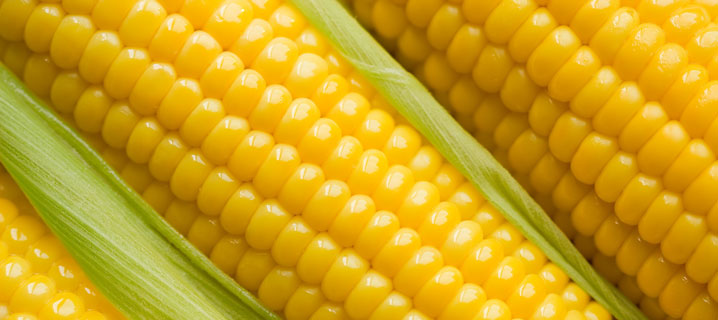 Missing translation key: locale='fr_FR', key='csi/scientifica/ActualiteScientifique/SA_Contenu/AltImage'