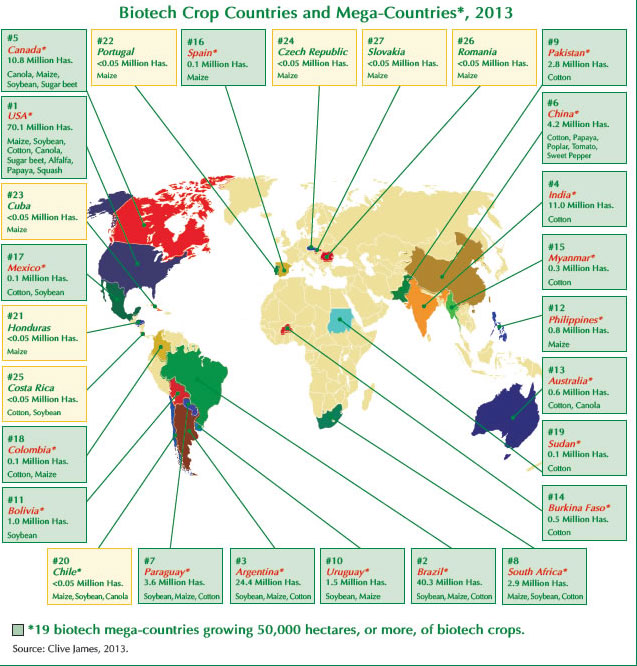 Carte mondiale des pays de cultures biotechnologiques