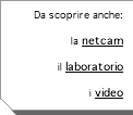 Da scoprire anche:   la netcam  il laboratorio  i video