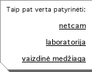 Taip pat verta patyrinÄti: netcam laboratorija vaizdinÄ medÅiaga