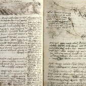 MANUSCRIPT - Bird flight and wind