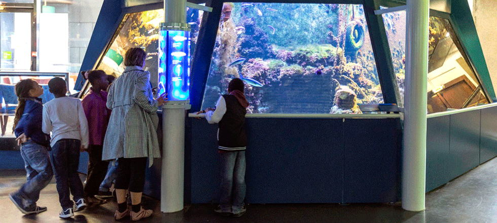 L'aquarium - Expos permanentes - Au programme - Cité des sciences et de l'industrie