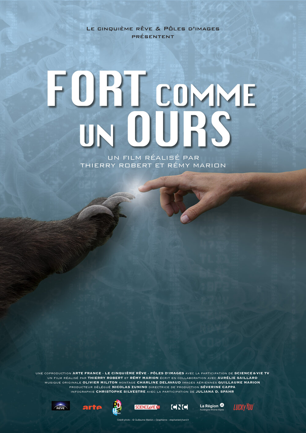 Affiche film comme un ours en hiver