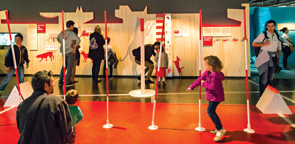 Sur cette photo, des enfants jouent à un jeu d'obstacle pour comparer leurs performances à celles des chiens et chats.
