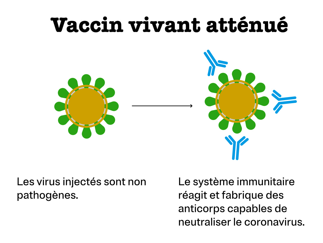 Covid-19: le PIMS serait en partie dû à des prédispositions génétiques -  Sciences et Avenir