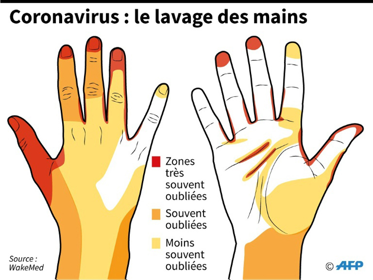 Coronavirus le lavage des mains : illustration zones très souvent oubliées (pouces et extrémités des doigts), souvent oubliés (poignets) et moins souvent oubliés (dessus des mains)
