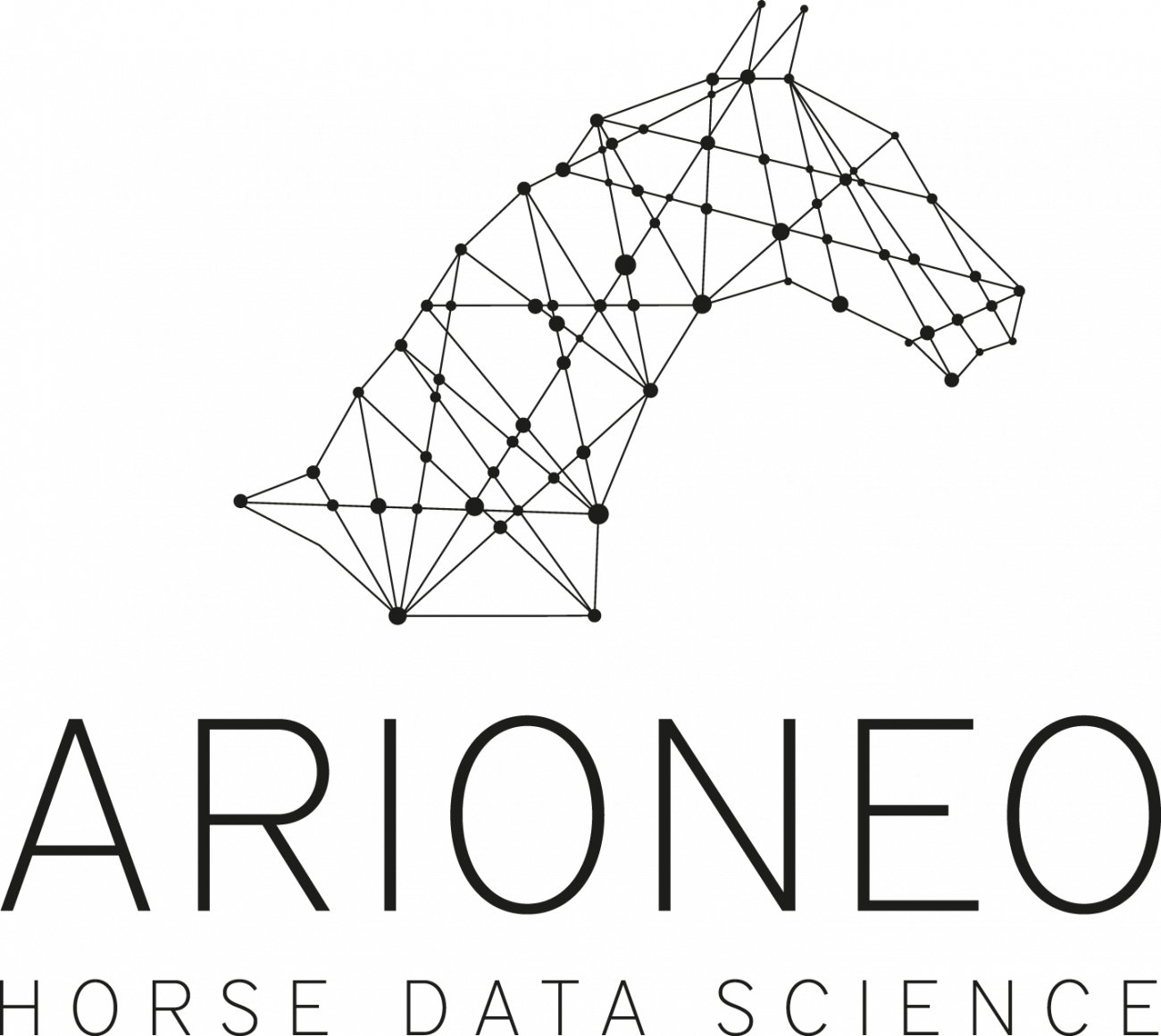 Logo arioneo (nouvelle fenêtre)