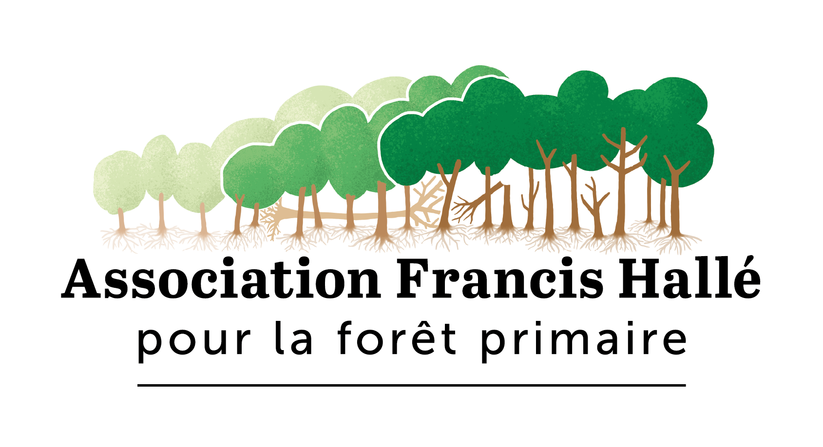 Association Francis Hallé pour la forêt primaire (nouvelle fenêtre)