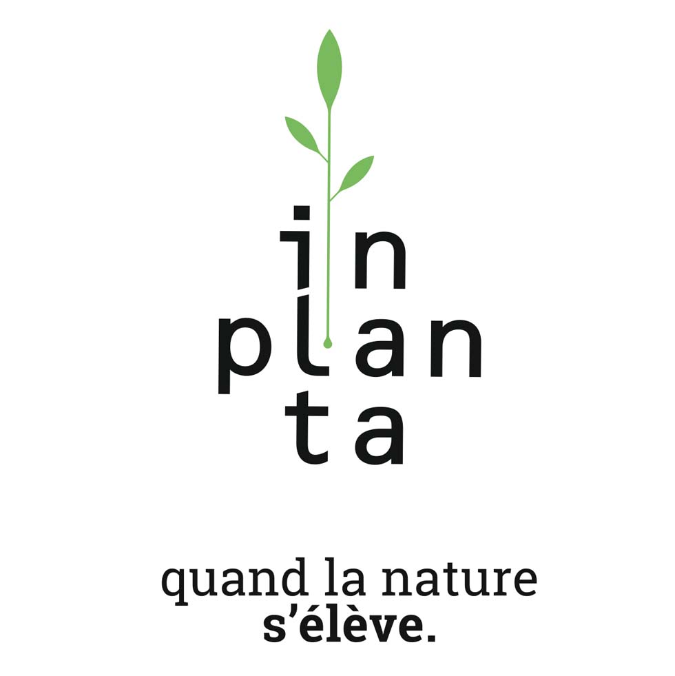 In planta (nouvelle fenêtre)