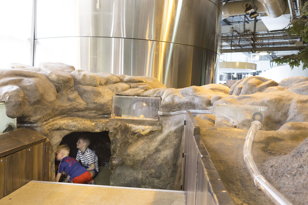 Le jardin - Cité des enfants 5-12 ans - La Cité des enfants - Expos  permanentes - Au programme - Cité des sciences et de l'industrie