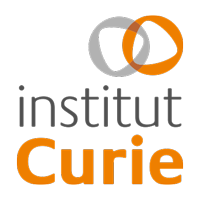 Site web de l'Institut Curie (nouvelle fenêtre)