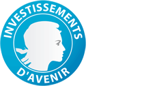 Investissements d'avenir (nouvelle fenêtre)