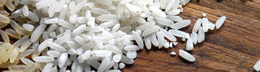 Compter les grains de riz - 1 jour 1 activité - Activités
