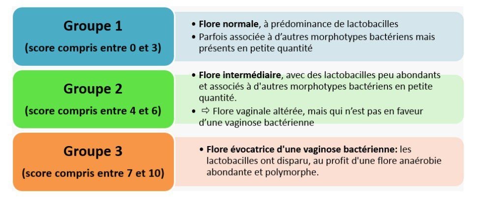 Examen microbiologie - 01 - 2024 - Toutes les questions ...