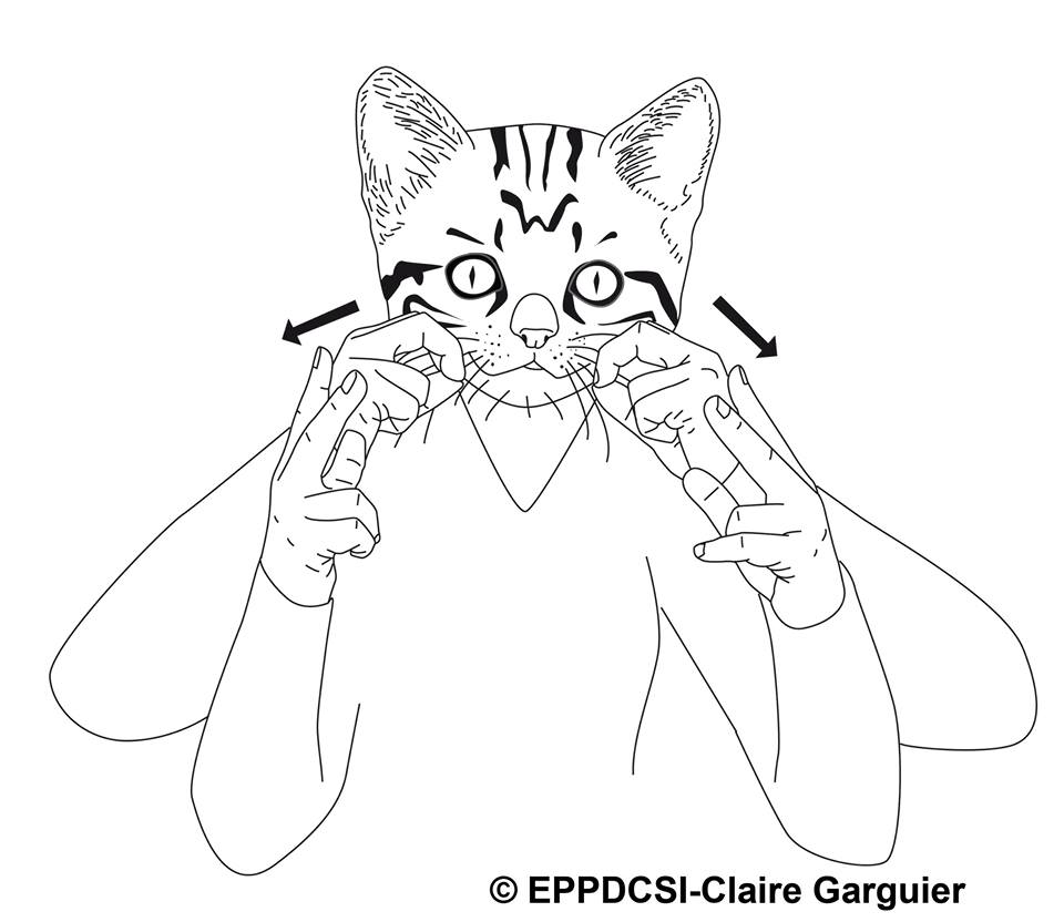 Animaux Images Signaire Lsf Ressources Sourds Et Malentendants Ma Cite Accessible Cite Des Sciences Et De L Industrie