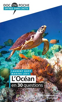 c'est l'océan avec des coraux et une tortue de mer