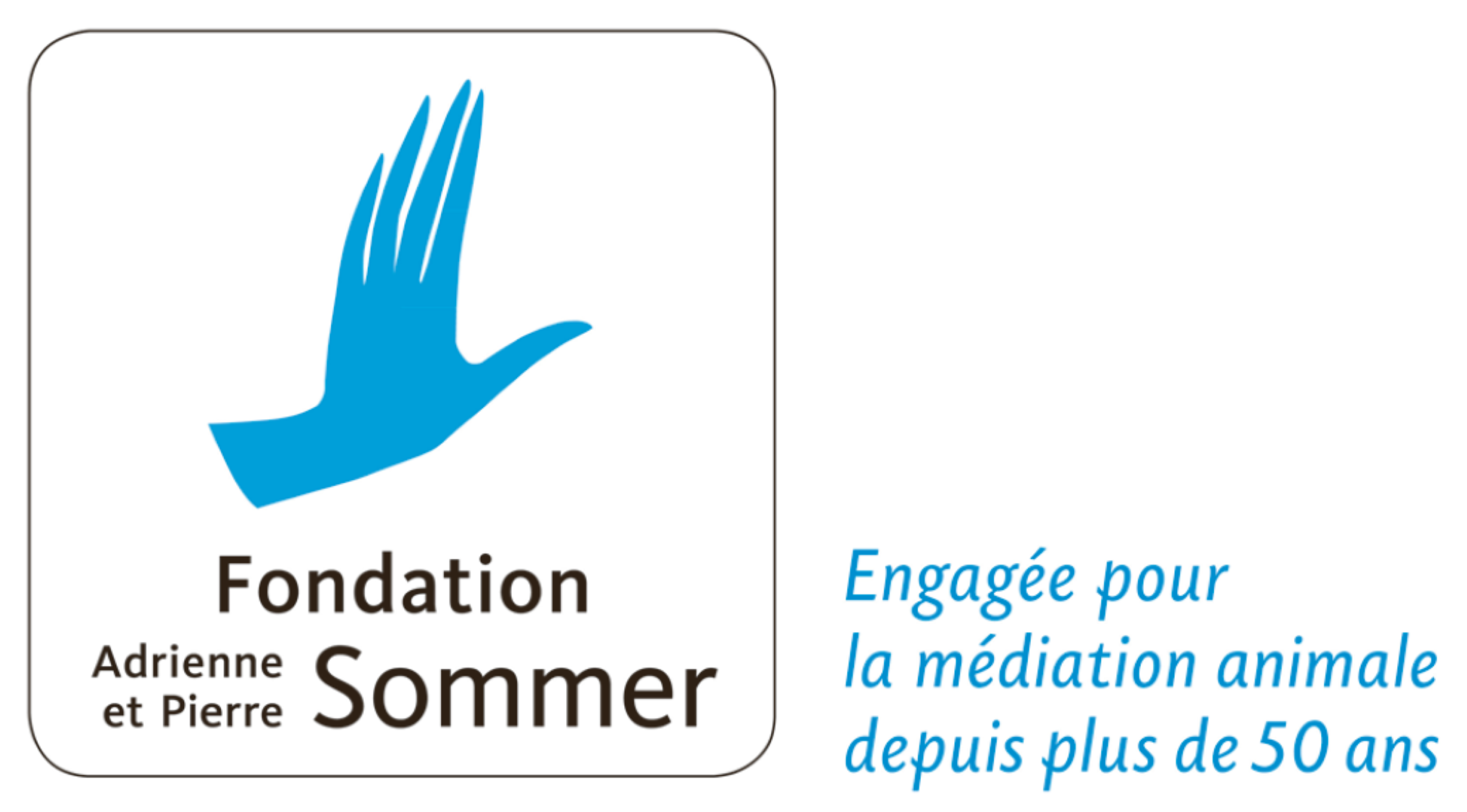 https://fondation-apsommer.org/ (nouvelle fenêtre)